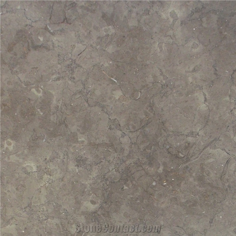 Mely Brown Marble Tile