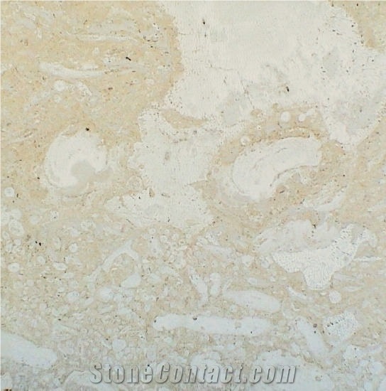 Mexican Coral Stone Tile