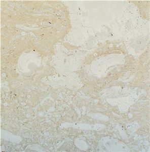 Mexican Coral Stone Tile