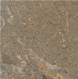 Midia Dragasia
