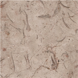 Milly Sicilia Marble Tile