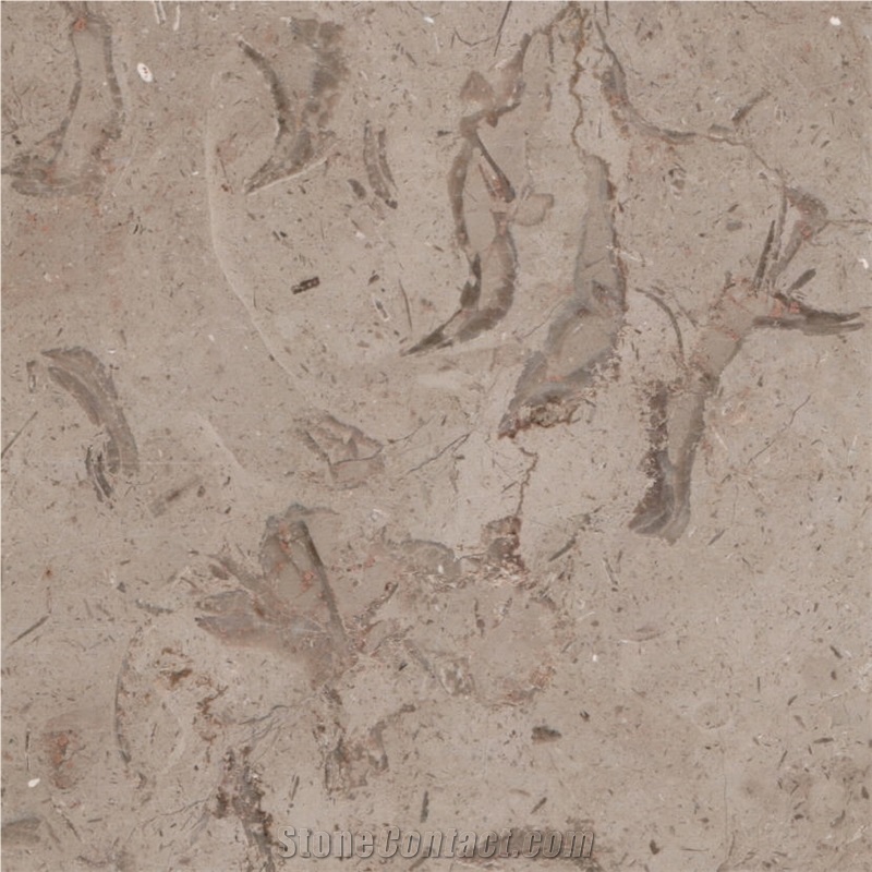 Milly Sicilia Marble Tile