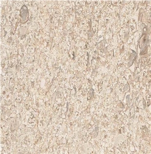 Mocha Creme Limestone