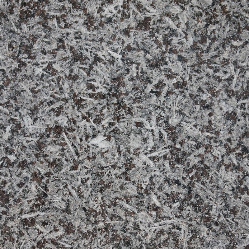 Monchique St. Louis Granite Tile