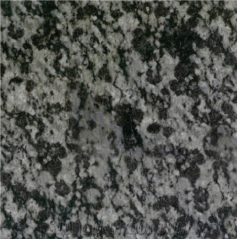 Moonlight Stone Granite 
