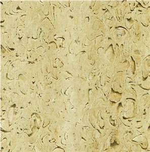 Mussel Stone Travertine