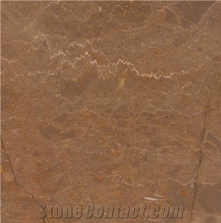 Negev Brown Limestone 