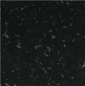 Negro Caracol Marble
