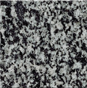 Negro Nevado Granite Slabs & Tiles