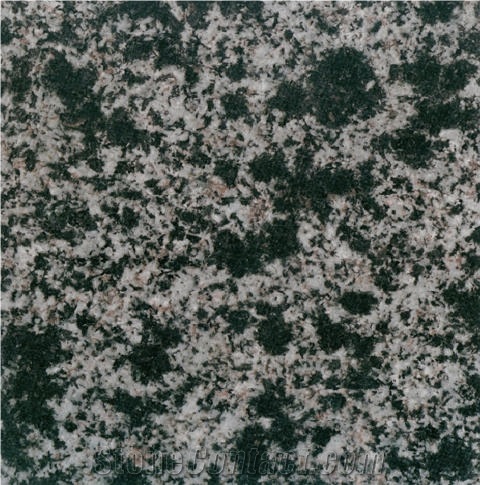 Neimenggu Leopard Skin Green Granite 
