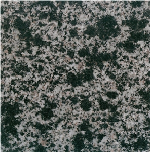 Neimenggu Leopard Skin Green Granite