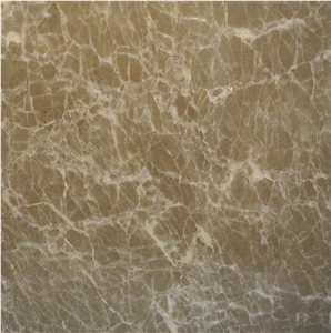 New Olive Marin Marble