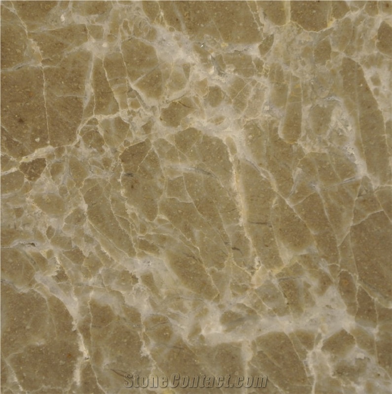 New Olive Marin Marble Tile