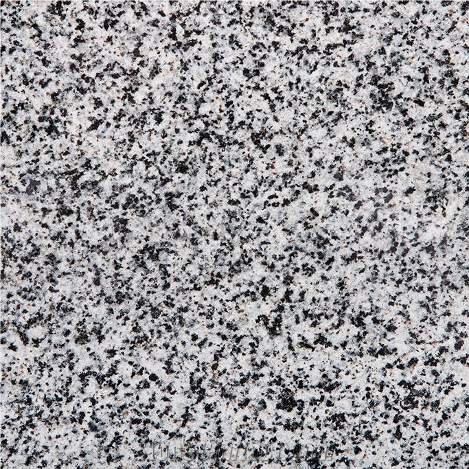 Noble Gray Granite 