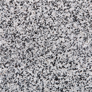 Noble Gray Granite