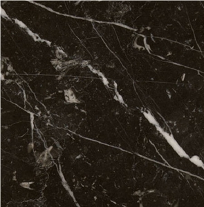 Noir Francaise Marble