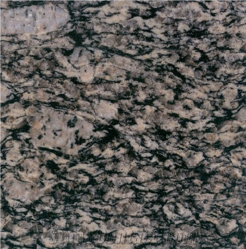 Nummular Brown Grain Granite 