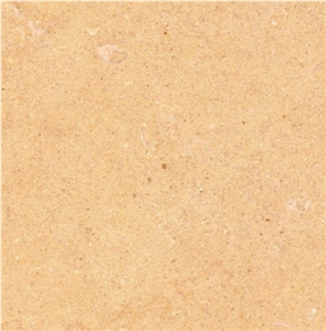 Oasis Toro