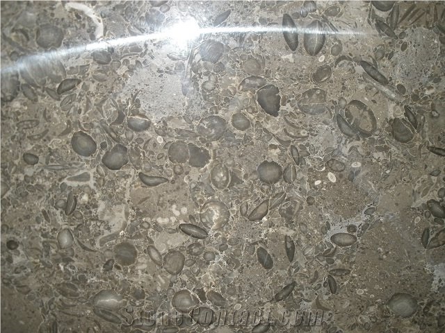 Oceanic Grey Marble Slab