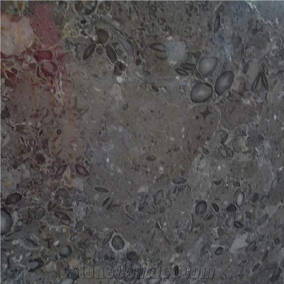 Oceanic Grey Marble Tile