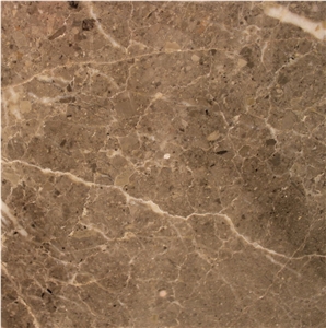 Olive Marine Marble