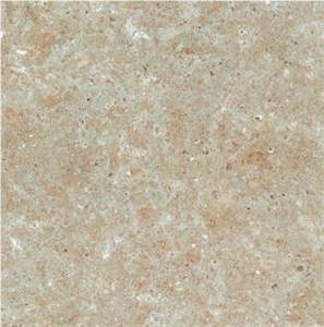 Omberg Grafflammig Limestone