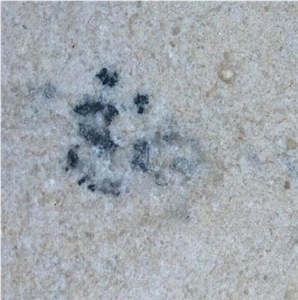 Orient Beige Limestone