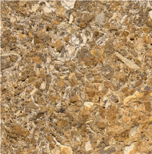 Orifossil Limestone
