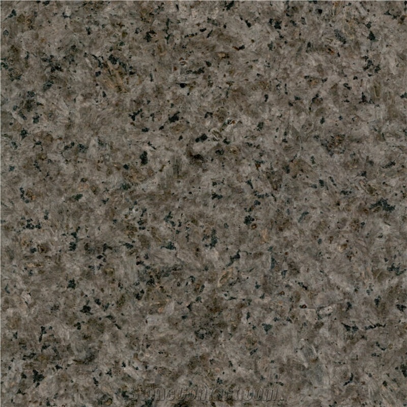 Oyster Pearl Granite 