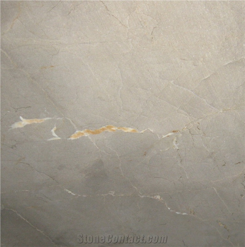 Pakistan Ocean Grey Marble Tile