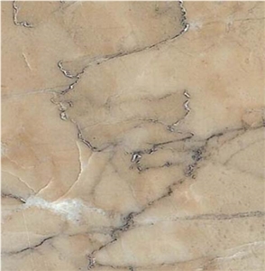 Pakistan Tiger Beige Marble
