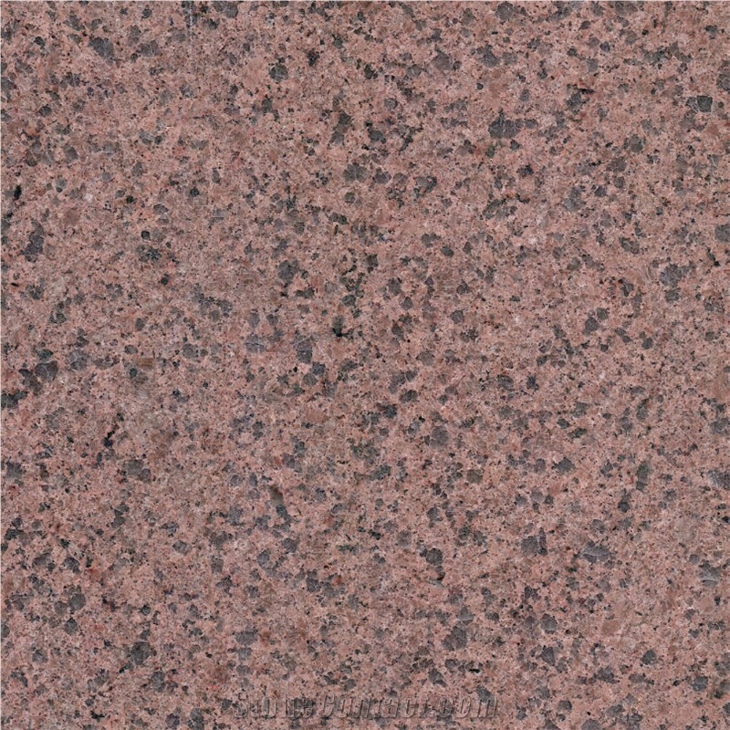Palm Red Granite Tile