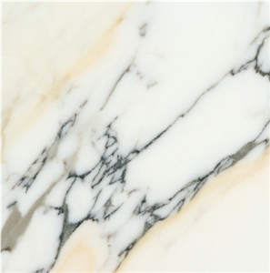 Paonazetto Bianco Marble