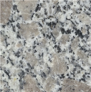 Pearl Flower Granite