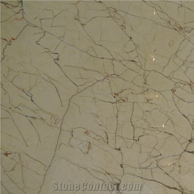 Persian Spider Marble Tile