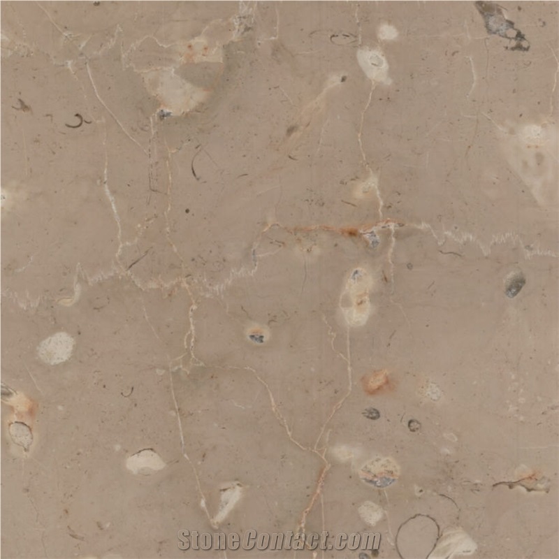 Phoenicia Beige Limestone 