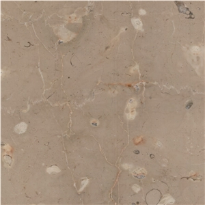 Phoenicia Beige Limestone