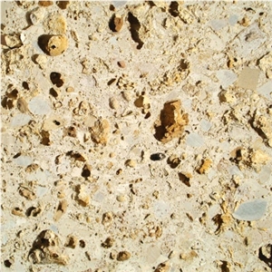 Piedra Ostionera Tile