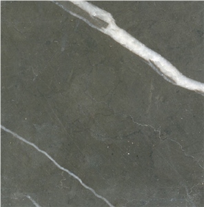 Pietra Gray Marble