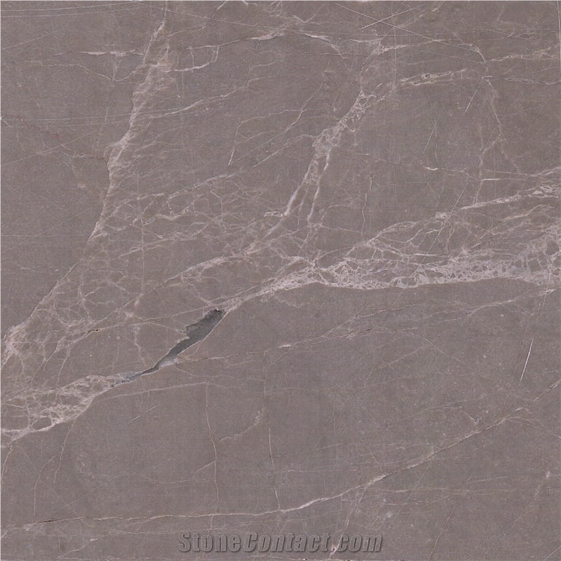 Pisa Grey Marble Tile