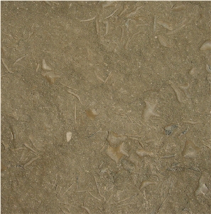 Pistachio Limestone Tile