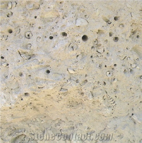 Portland Roach Limestone 