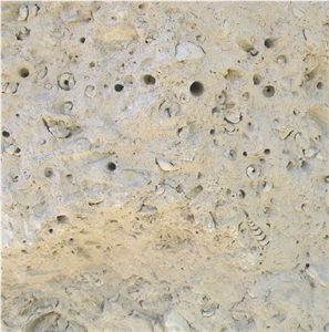 Portland Roach Limestone