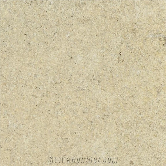 Prairie Shell Limestone 