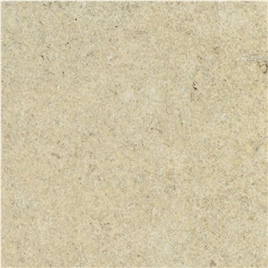 Prairie Shell Limestone