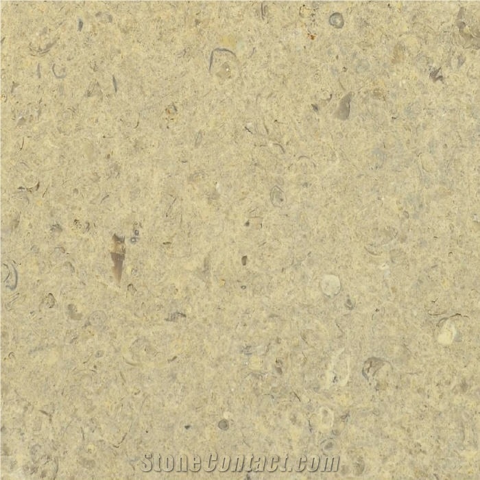 Prairie Shell Limestone Tile