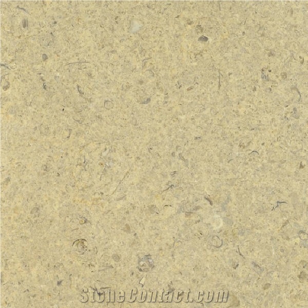 Prairie Shell Limestone Tile