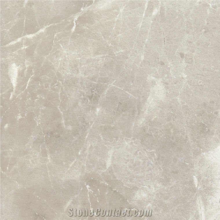 Premium Gray Marble 