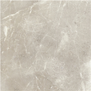 Premium Gray Marble