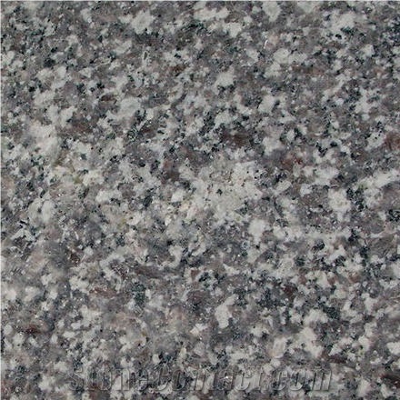 Purple White Granite 